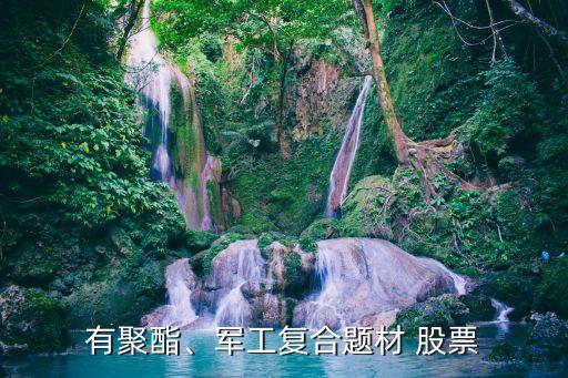 有聚酯、軍工復(fù)合題材 股票