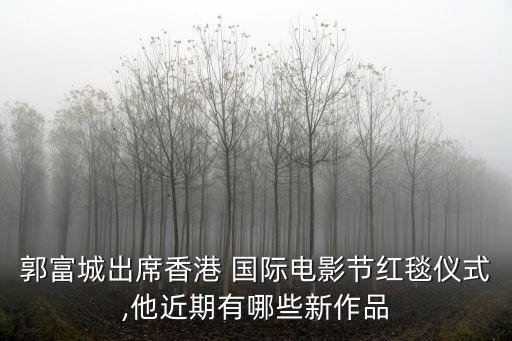 風再起時國際風險投資有限公司