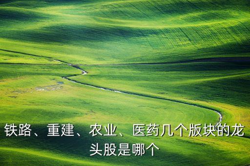 鐵路、重建、農(nóng)業(yè)、醫(yī)藥幾個版塊的龍頭股是哪個
