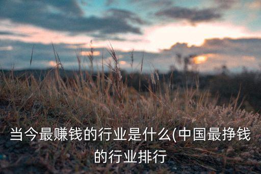 當今最賺錢的行業(yè)是什么(中國最掙錢的行業(yè)排行