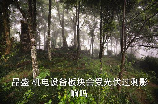  晶盛 機電設備板塊會受光伏過剩影響嗎