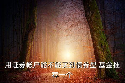 用證券帳戶(hù)能不能買(mǎi)到債券型 基金推薦一個(gè)