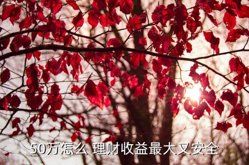 50萬(wàn)怎么 理財(cái)收益最大又安全