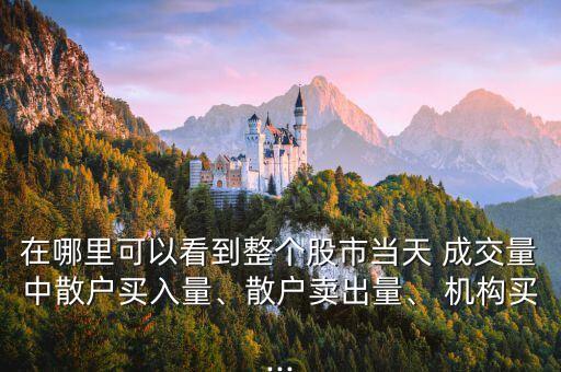 在哪里可以看到整個股市當天 成交量中散戶買入量、散戶賣出量、 機構買...