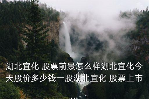 湖北宜化 股票前景怎么樣湖北宜化今天股價(jià)多少錢(qián)一股湖北宜化 股票上市...
