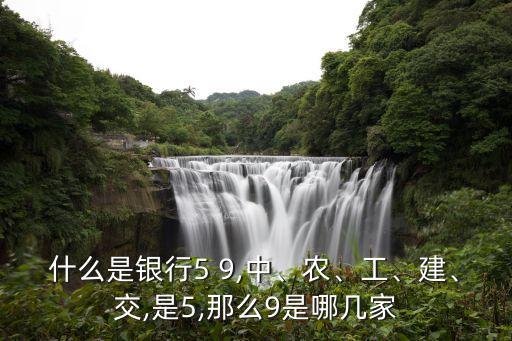 什么是銀行5 9,中、農(nóng)、工、建、交,是5,那么9是哪幾家