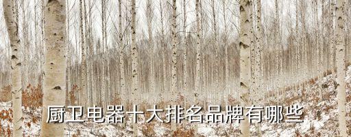 2013中國500最價(jià)值品牌排行榜