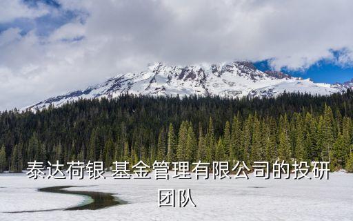 泰達(dá)荷銀 基金管理有限公司的投研團隊
