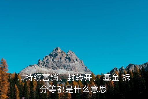 ...持續(xù)營銷、封轉(zhuǎn)開、 基金 拆分等都是什么意思