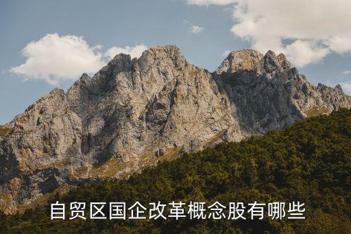自貿區(qū)涉及的上市公司,海南自貿區(qū)受益上市公司