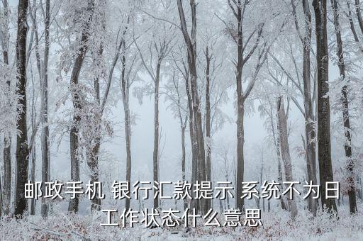 郵政手機 銀行匯款提示 系統(tǒng)不為日工作狀態(tài)什么意思