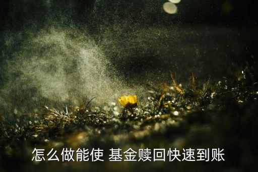 哪個基金公司確認(rèn)份額最快,基金公司確認(rèn)份額時間