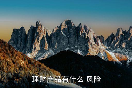  理財產品有什么 風險