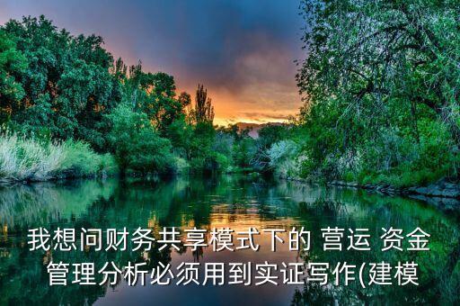 中國營運資金管理數(shù)據(jù)庫,營運資金管理論文選什么公司