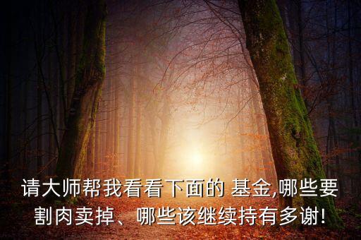 請大師幫我看看下面的 基金,哪些要割肉賣掉、哪些該繼續(xù)持有多謝!