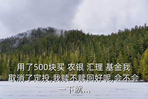 用了500塊買 農銀 匯理 基金我取消了定投,我贖不贖回好呢,會不會一下就...