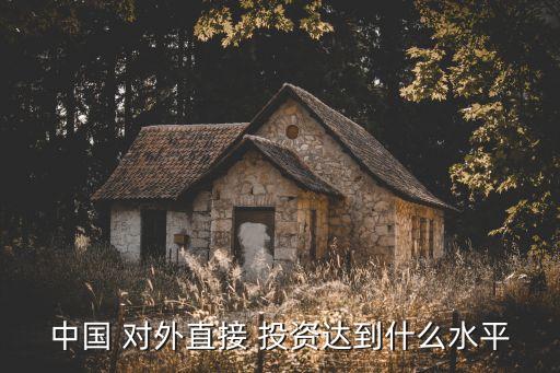 中國 對(duì)外直接 投資達(dá)到什么水平