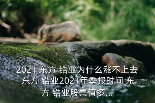 2021 東方 鋯業(yè)為什么漲不上去 東方 鋯業(yè)2021年季報(bào)時間 東方 鋯業(yè)股票值多...
