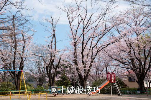 網上炒股技巧