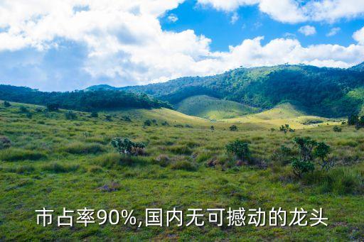 市占率90%,國內無可撼動的龍頭