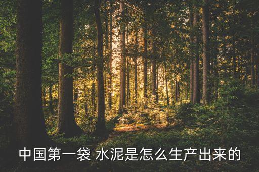 中國(guó)第一袋 水泥是怎么生產(chǎn)出來(lái)的