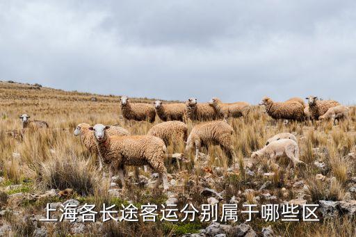  上海各長途客運(yùn)分別屬于哪些區(qū)