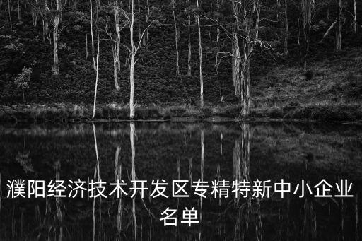 濮陽經濟技術開發(fā)區(qū)專精特新中小企業(yè)名單