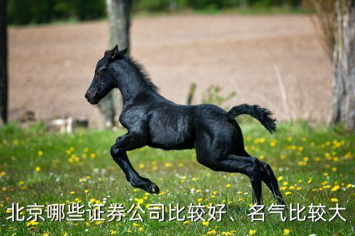 北京哪些證券公司比較好、名氣比較大