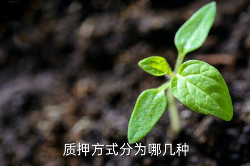  質押方式分為哪幾種