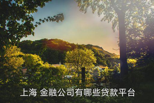 互聯(lián)網金融是上海全球,上海欣機會互聯(lián)網金融怎么樣
