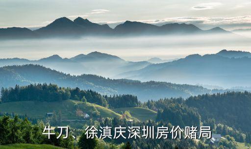  牛刀、徐滇慶深圳房價賭局