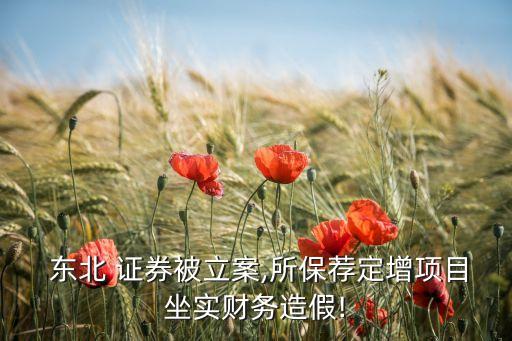  東北 證券被立案,所保薦定增項目坐實財務造假!