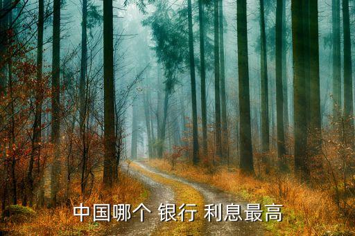 中國哪個(gè) 銀行 利息最高