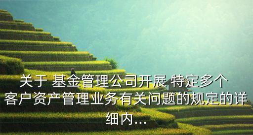 關于 基金管理公司開展 特定多個 客戶資產管理業(yè)務有關問題的規(guī)定的詳細內...