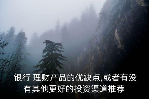  銀行 理財產品的優(yōu)缺點,或者有沒有其他更好的投資渠道推薦