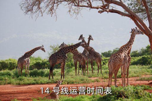 北京地鐵14號(hào)線(xiàn)東段什么時(shí)候開(kāi)通