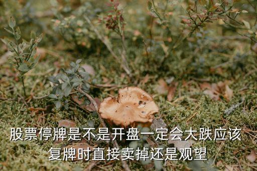 股票停牌是不是開盤一定會大跌應(yīng)該 復牌時直接賣掉還是觀望