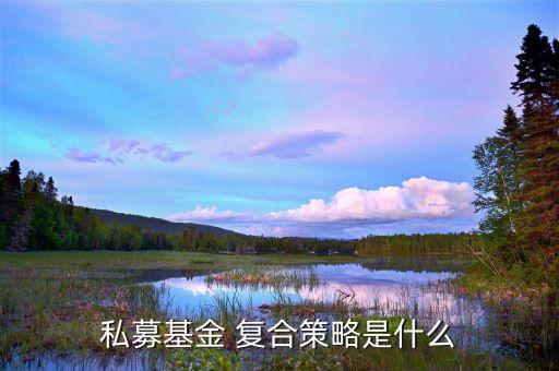 私募基金 復合策略是什么