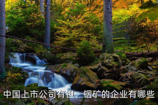 中國上市公司有鉭、銦礦的企業(yè)有哪些