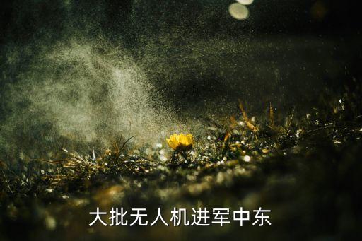 大批無人機進(jìn)軍中東