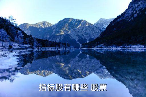 指標股有哪些 股票