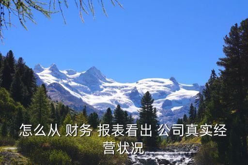 怎么從 財務(wù) 報表看出 公司真實(shí)經(jīng)營狀況