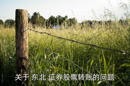 關于 東北 證券股票轉賬的問題