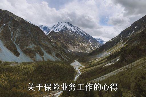 關(guān)于保險業(yè)務(wù)工作的心得