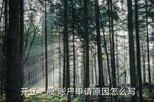  開(kāi)立一般 賬戶(hù)申請(qǐng)?jiān)蛟趺磳?xiě)