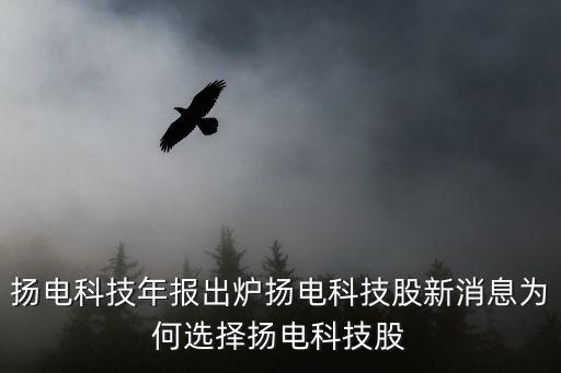 揚(yáng)電科技年報出爐揚(yáng)電科技股新消息為何選擇揚(yáng)電科技股