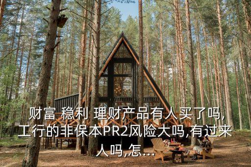  財(cái)富 穩(wěn)利 理財(cái)產(chǎn)品有人買(mǎi)了嗎,工行的非保本PR2風(fēng)險(xiǎn)大嗎,有過(guò)來(lái)人嗎,怎...