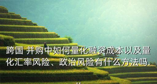 跨國 并購中如何量化融資成本以及量化匯率風險、政治風險有什么方法嗎...