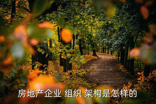房地產企業(yè) 組織 架構是怎樣的
