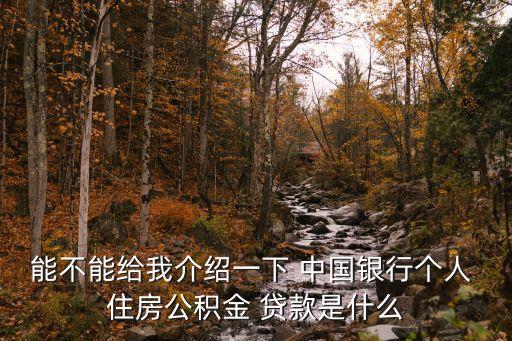 中國銀行住房貸款中心
